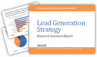 analysis file: Lead Gen not As straightforward As entrepreneurs suppose