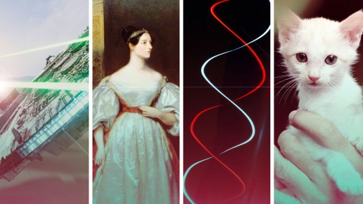 star Wars, Ada Lovelace, DNA, Or The web: The Geek Debate Continues