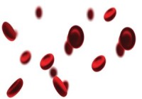 At Hematological assembly, more than simply Biotech knowledge Runs Blood crimson