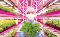 Six technologies changing the future of food