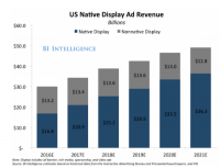 The Future of the Native Ad Business