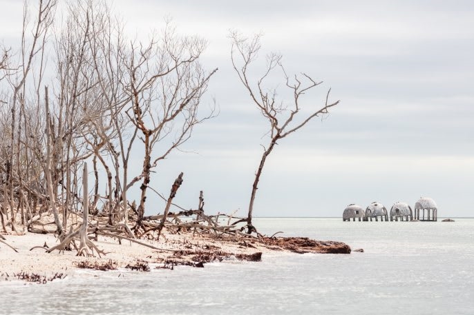 The chaos wrought by climate change is already here–just look at Miami | DeviceDaily.com