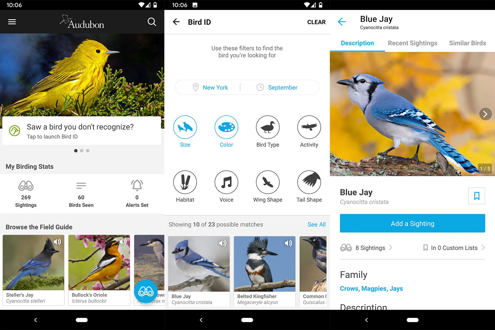 Tech that helped me fall back in love with birdwatching | DeviceDaily.com