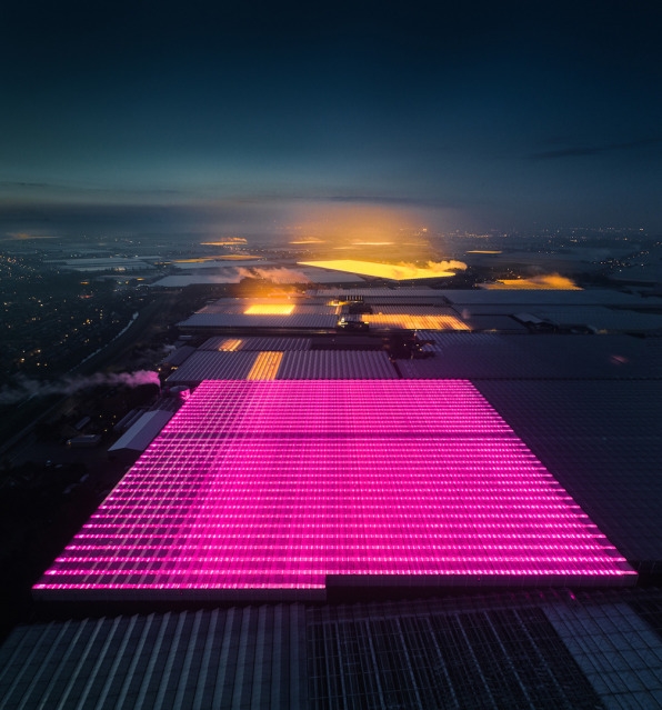 These eerily beautiful glowing buildings are the Netherlands’ massive network of greenhouses | DeviceDaily.com