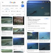 Google Brings Fact Checking To Images