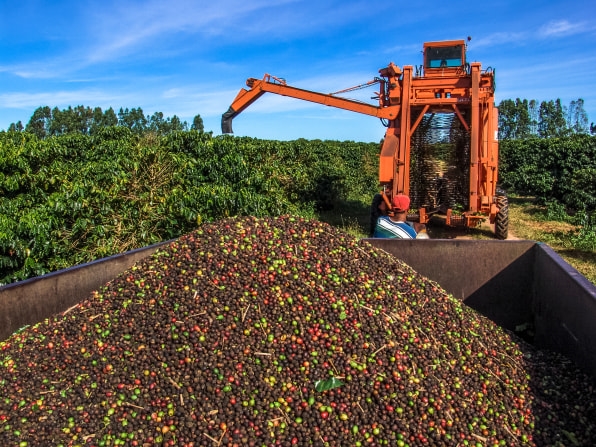 Why coffee prices are skyrocketing | DeviceDaily.com