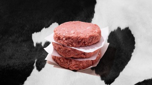 Why this lab-meat startup is keeping cows in the equation