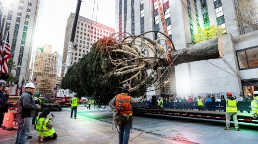 5 miles of lights and 90 gallons of water per day: The Rockefeller Center Christmas tree, by the numbers