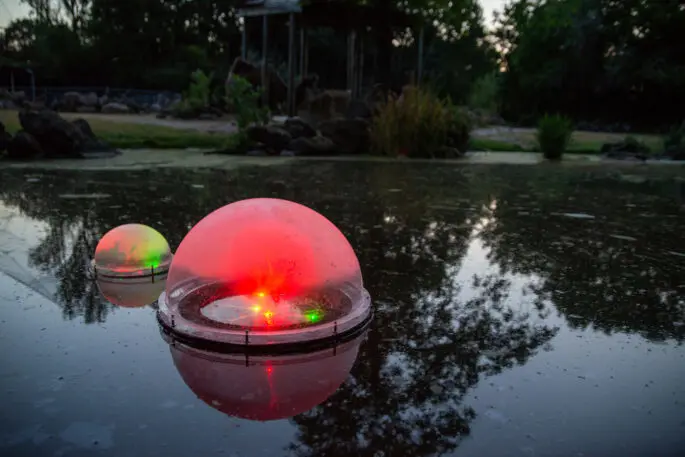 These glowing orbs can tell you if water is clean or polluted | DeviceDaily.com