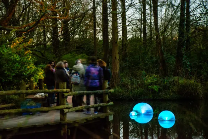 These glowing orbs can tell you if water is clean or polluted | DeviceDaily.com