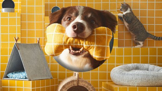 Ikea designed a new collection of beds, bowls, and toys for your pet. But only if they’re a good boy