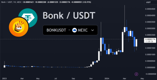 Bonk Coin Price Up 40%, Is Slothana The Next Solana Meme Token To Explode