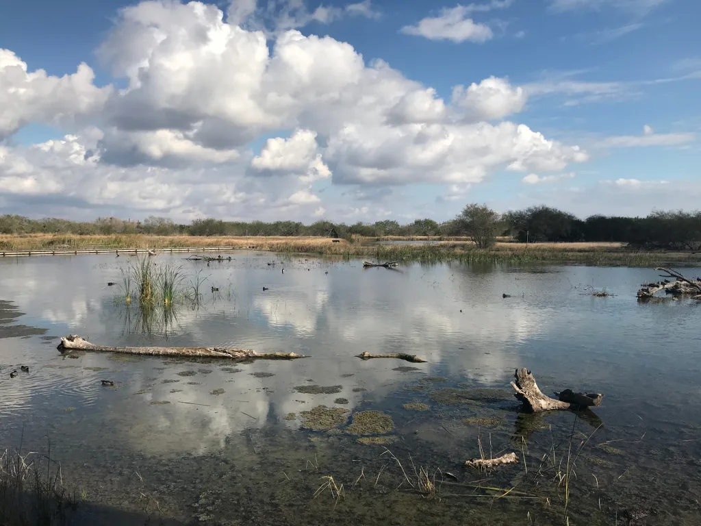 Inside the battle to stop methane exports from South Texas | DeviceDaily.com