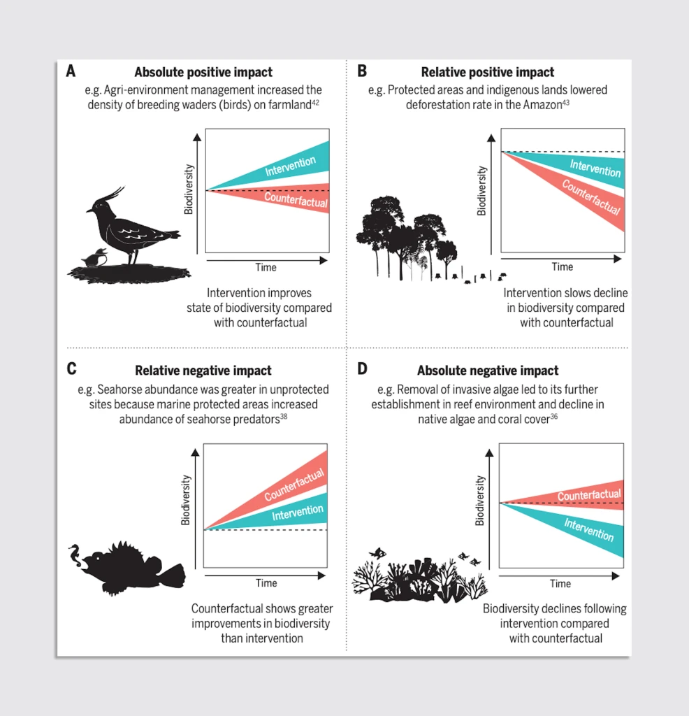 Optimism for nature’s recovery is not misplaced: Nature conservation works, researchers say | DeviceDaily.com