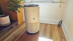 The best air purifier for 2024 | DeviceDaily.com