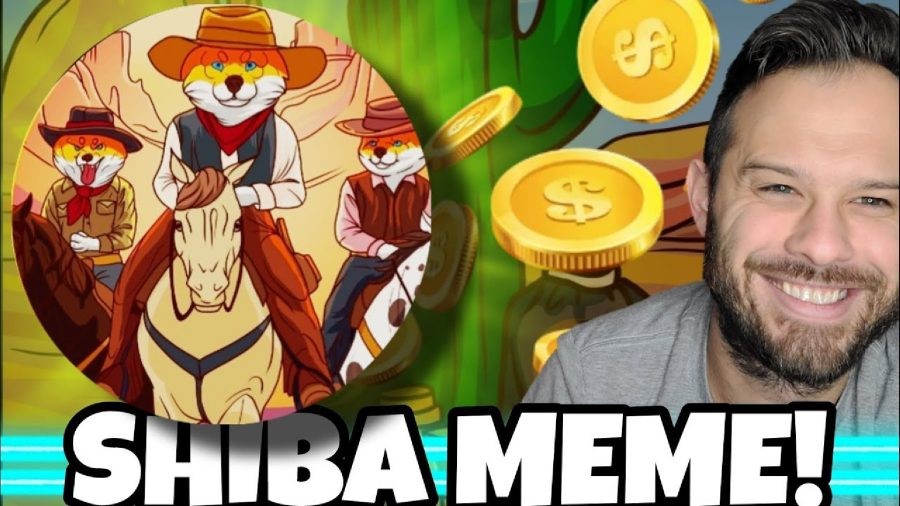 ClayBro Reviews New Shiba Inu Alternatives Offering High Staking Rewards | DeviceDaily.com