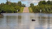 A rail bridge collapsed during Midwest flooding, as extreme U.S. weather persists