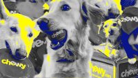 Is Chewy the next meme stock? Roaring Kitty sends the online pet-goods retailer on a wild ride