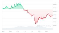 FLOKI Price Analysis July 2024 – Could It Be the Top Meme Coin in This Coming Bull Run?