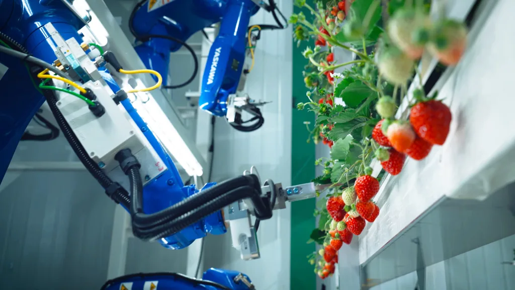 Inside the high-tech farm in New Jersey where Instagram’s favorite strawberries grow | DeviceDaily.com