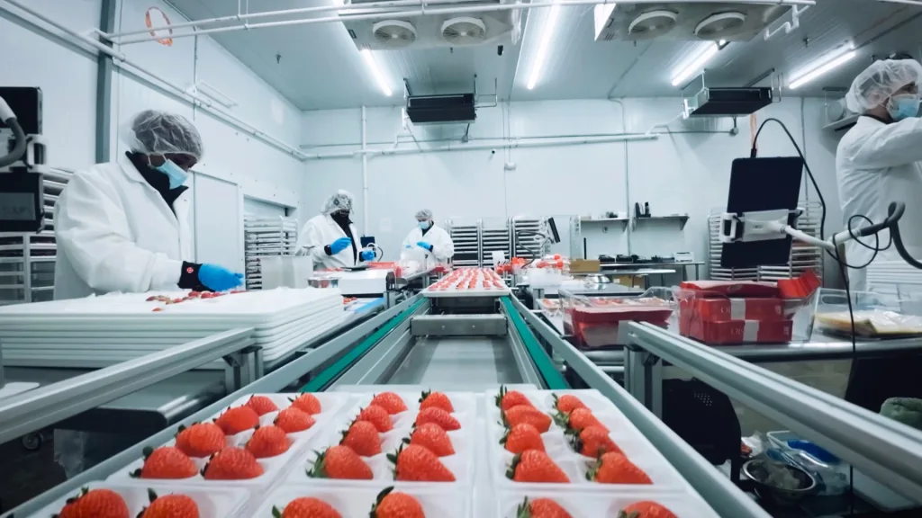 Inside the high-tech farm in New Jersey where Instagram’s favorite strawberries grow | DeviceDaily.com