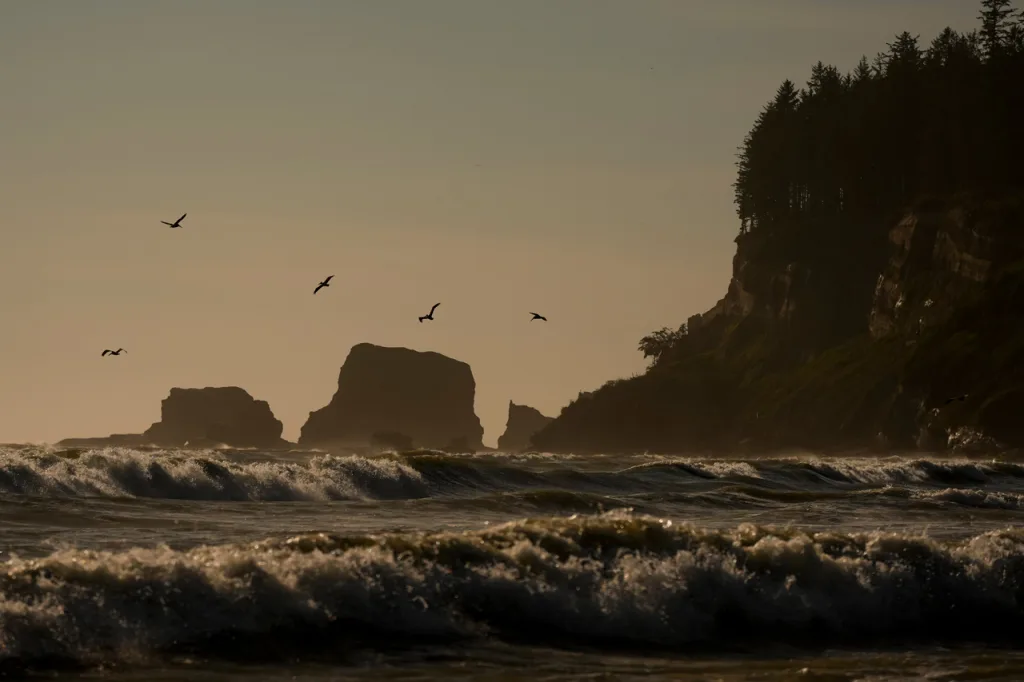 Quinault Nation, battling flooding issues, looks to escape the rising Pacific | DeviceDaily.com