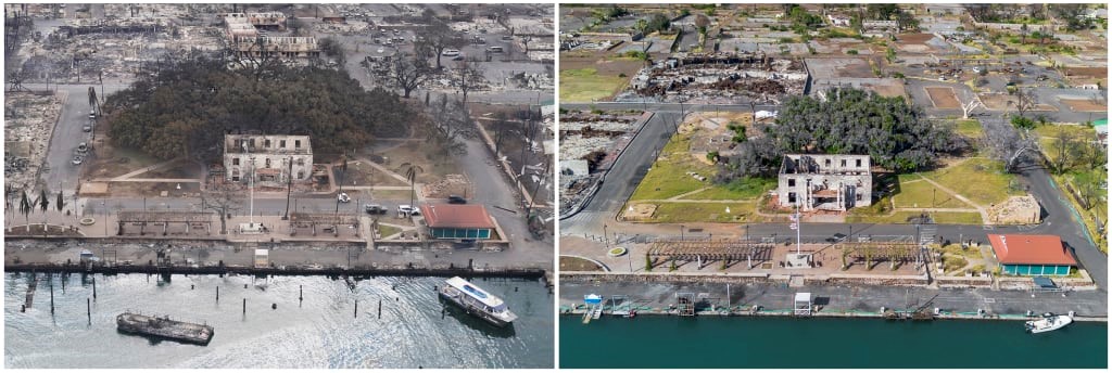 How Lahaina’s 151-year-old tree survived Maui’s devastating wildfire | DeviceDaily.com