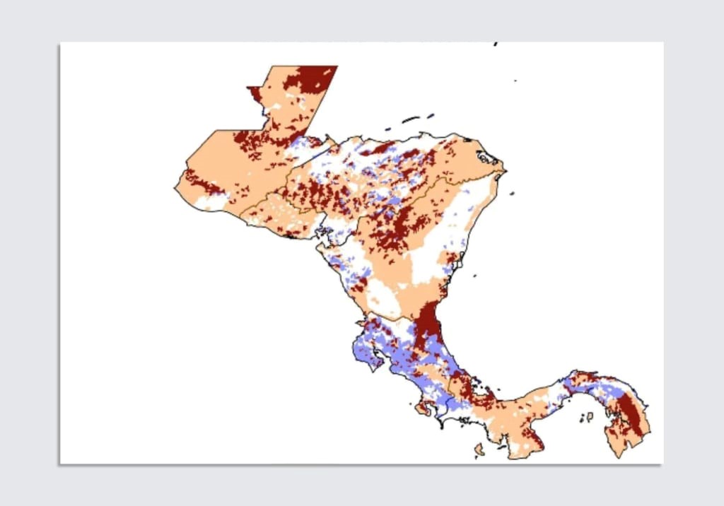 Drug-related deforestation in Central America is threatening migratory birds, research shows | DeviceDaily.com