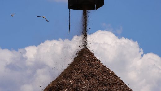 Embattled British energy giant exceeds toxic pollutant limits at Louisiana wood pellet facilities