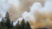 Wildfire smoke increases dementia risk more than other air pollution, study says