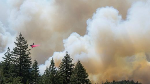 Wildfire smoke increases dementia risk more than other air pollution, study says