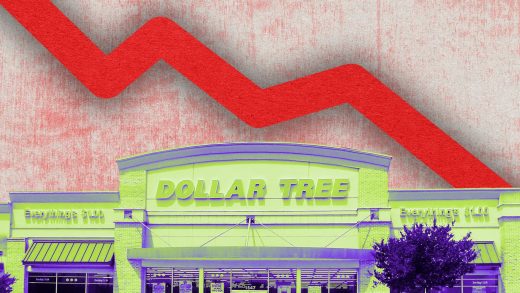 Dollar Tree and Family Dollar stock falls 20% as company puts blame on the economy