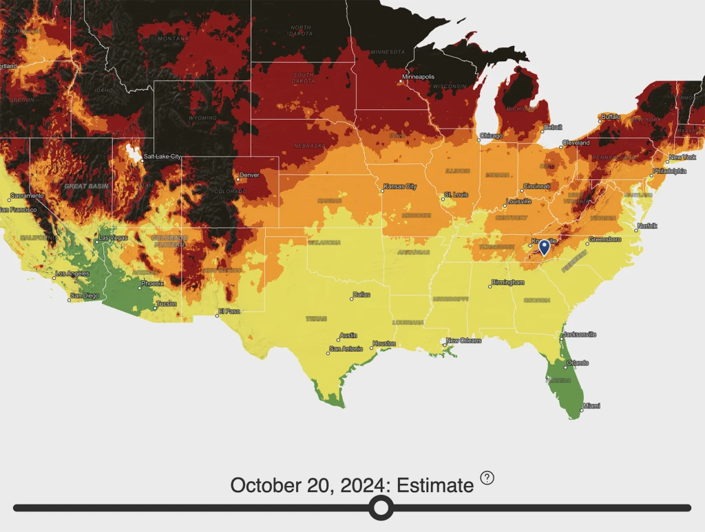 Fall Foliage Map 2024: Best dates to enjoy the season’s changing colors in your area | DeviceDaily.com