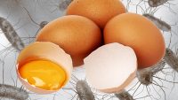 Salmonella outbreak linked to egg recall has now spread to 9 states