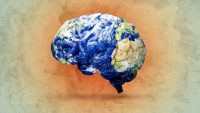 This is what climate change does to your brain, according to a neuroscientist