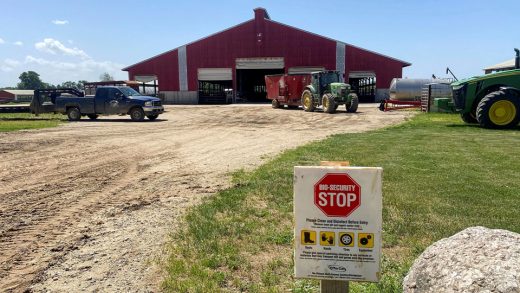 U.S. bird flu outbreak faces this new challenge, prompting farmers to call for a vaccine