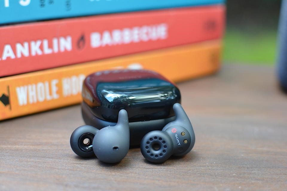 Sony LinkBuds Fit and LinkBuds Open review: Two designs, one clear champ | DeviceDaily.com