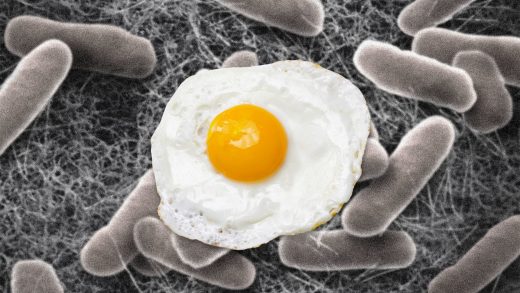 An egg recall linked to deadly salmonella in multiple states is growing: Check your cartons right now