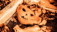 How to keep your jack-o’-lantern from rotting before Halloween