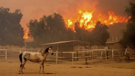 Mountain Fire in Southern California’s Ventury County destroys 132 structures