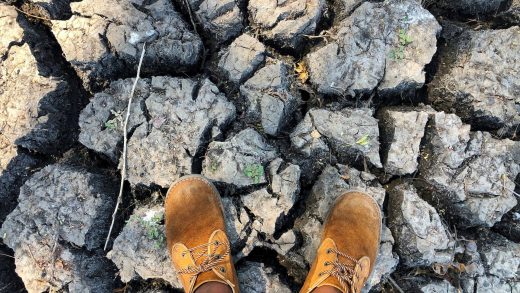 Southern Africa faces worst hunger crisis in decades due to El Niño, UN says