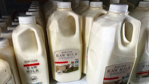 Bird flu virus in raw milk: What you need to know about pasteurization