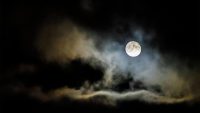 The ‘cold’ December full moon, the last one of 2024, coincides with a rare lunar standstill: Here’s the best time to see it