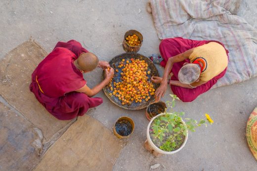 How our food system needs to change for a healthier future