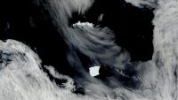 World’s largest iceberg moves toward an island off Antarctica where millions of penguins live