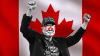 A parliamentary petition to revoke Elon Musk’s Canadian citizenship is gaining steam